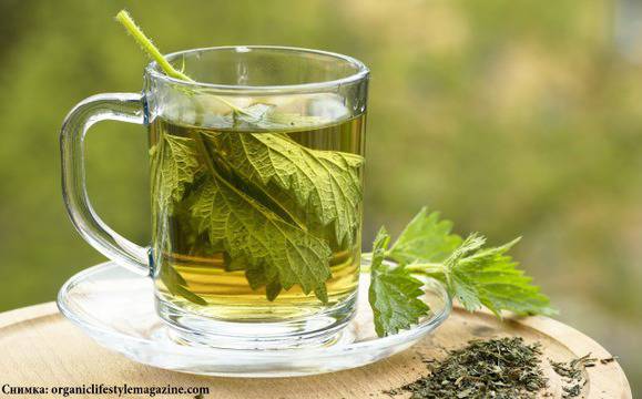 Копривата е полезна при артрит, алергии и диабет