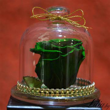 2017 Вечни рози и рози в стъкленица – Зелена вечна роза в стъкленица – Доставка на Цветя-Букети-Вечни рози и Рози в…