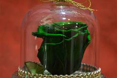 2017 Вечни рози и рози в стъкленица – Зелена вечна роза в стъкленица – Доставка на Цветя-Букети-Вечни рози и Рози в…