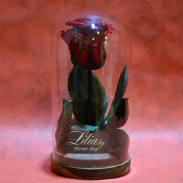 Вечна неувяхваща червена роза в стъкленица 20см