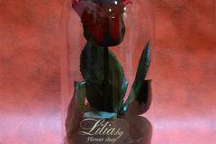 Вечна неувяхваща червена роза в стъкленица 20см