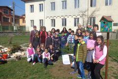 Клуб „Малки еколози“ засади фиданка, в двора на ОУ „Н Парапунов“, за Световния ден на гората