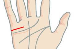 Гледане на ръка – хиромантия – Линия на семейството