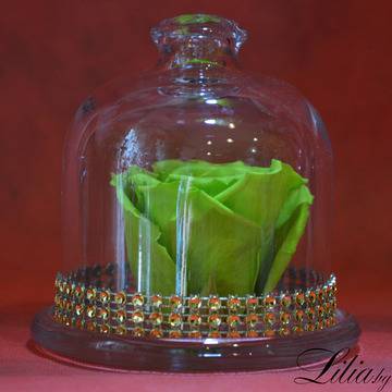 2017 Вечни рози и рози в стъкленица – Ярко зелена вечна роза в стъкленица – Доставка на Цветя-Букети-Вечни рози и Рози в…