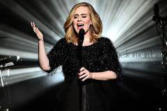 Адел слага край на турнетата си