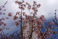 Времето през април: Сравнително топло за Великден