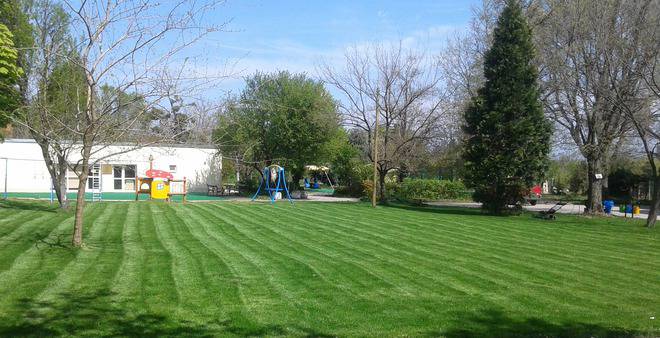 Поддръжка на зелени площи Варна 0899890530