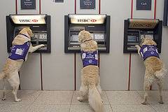 Блондинка и Банкомат