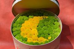 2017 Цветя в Кутия и Кутии с рози – Цветя в кутия-луна от хризантеми – Доставка на Цветя-Букети-Вечни рози и Рози в…