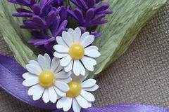 ЛАВАНДУЛА И МАРГАРИТКИ