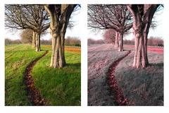 Българско откритие помага на 300 млн. далтонисти по света