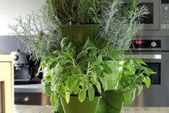 Саксия за подправки с 9 билки (комплект)