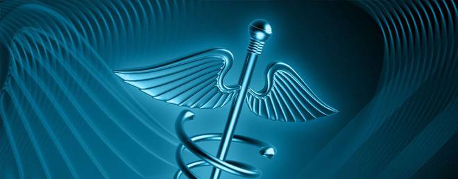 Полови хормони произвеждани от човешките полови жлези