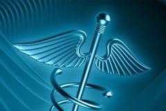 Полови хормони произвеждани от човешките полови жлези