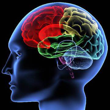 Изненада: Високата кръвна захар пази от тумор в мозъка