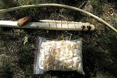 Палене на огън чрез триене на дървени пръчки