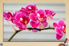Декоративно пано за стена от 1 част с клонче розова Орхидея – HD-702-1