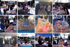 Успешно премина благотворителният базар на ПГТХТ „Никола Стойчев“ в Разлог