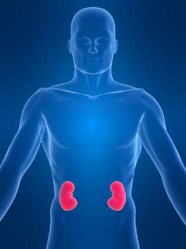 Болки в кръста и температура издават пиелонефрита