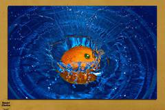 Картина пано за стена от 1 част – Портокал във вода – HD-527-1