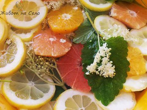 Домашна лимонада с бъз и маточина