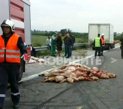 Камион с месо се обърна на магистрала „Тракия” (СНИМКИ)