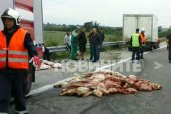 Камион с месо се обърна на магистрала „Тракия” (СНИМКИ)