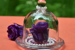 Мини вечна естествена лилава роза в стъкленица