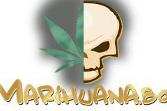 92 ГОДИНИ СУ “СВ. ПАИСИЙ ХИЛЕНДАРСКИ“ – АБЛАНИЦА