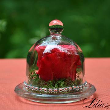 2017 Вечни рози и рози в стъкленица – Червена вечна естествена роза в стъкленица – Доставка на Цветя-Букети-Вечни рози и Рози…