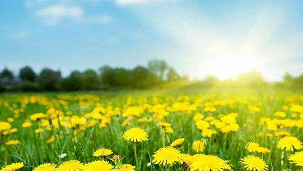 Днес слънчево и топло. Максималните температури ще са между 26° и 31°