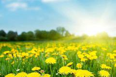 Днес слънчево и топло. Максималните температури ще са между 26° и 31°