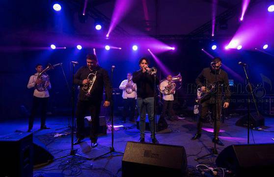 Спечели двойна покана за Гуча-партито в „Маймунарника“