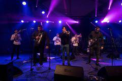 Спечели двойна покана за Гуча-партито в „Маймунарника“