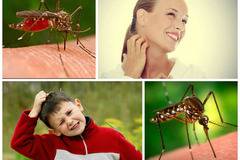 Защо комарите ви хапят повече от другите около вас?