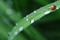 Времето остава облачно, но валежите отслабват