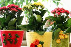 Идеи за декорация на саксии