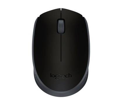 Безжична оптична мишка LOGITECH M171, Черна, USB