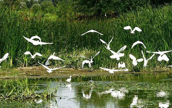 ЮНЕСКО одобри четири български биосферни резервата