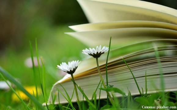 7 416 книги са били издадени в България през 2016-а година