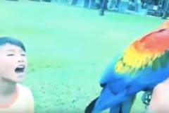 Интересен начин за вадене на зъб