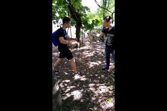 Клип с ученици, гаврещи се с малко коте, разбуни социалните мрежи