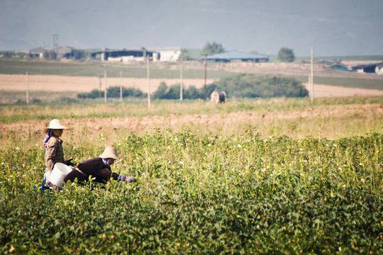 Броят на „работещите бедни“ у нас продължава да расте