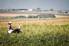 Броят на „работещите бедни“ у нас продължава да расте