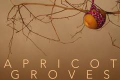 „Кайсиеви градини“ ще даде начало на Международния филмов фестивал Бургас