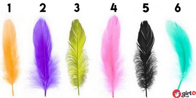 Бърз и интересен тест: Избери 1 перо и ще ти кажа какъв човек си!