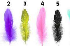 Бърз и интересен тест: Избери 1 перо и ще ти кажа какъв човек си!