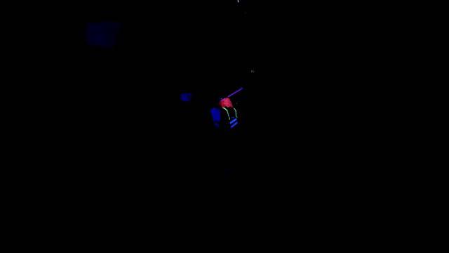 Alfaparf Neon боя за коса – новите летни цветове