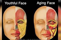 Младежко срещу остаряващо лице