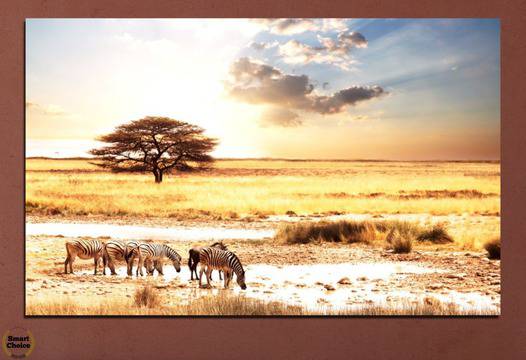 Картина пано за стена от 1 част с африкански пейзаж – HD-554-1